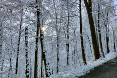 Schnee in Pfullingen 26.12.2020