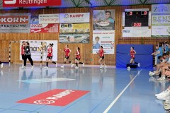 PXL_20250626_175608489.ACTION_PAN-02.ORIGINAL2
