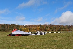PXL_20221022_093247583