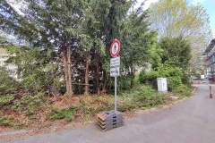 IMG_20210529_084703502_HDR