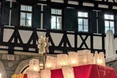 PXL_20251201_163145869.NIGHT2_