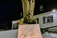 PXL_20251201_164122445.NIGHT2_