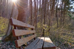 IMG_20190328_084506636_HDR