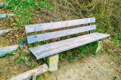 IMG_20190402_131534431_HDR2