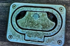 IMG_20210612_094206887_BURST0013