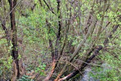 PXL_20260414_103729977.PORTRAIT.ORIGINAL2