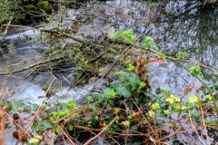 PXL_20260414_103935560.LONG_EXPOSURE-01.COVER2_