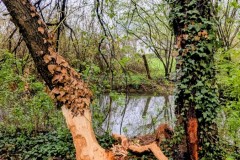 PXL_20260414_104038615.LONG_EXPOSURE2