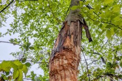 PXL_20260414_104719182.RAW-01.COVER2_