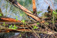 PXL_20260414_104822322.RAW-01.COVER2_