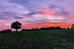 PXL_20240830_181822172.NIGHT2_