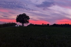 PXL_20240830_182102378.NIGHT2_