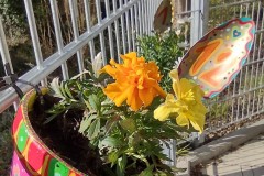 IMG_20210426_085626113_HDR