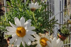 IMG_20210426_085632271_HDR