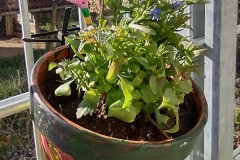 IMG_20210426_085643462_HDR