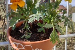 IMG_20210426_085650004_HDR
