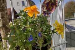 IMG_20210426_085716238_HDR