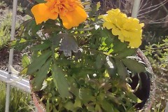 IMG_20210426_085732726
