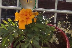 IMG_20210426_085735464_HDR