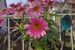 IMG_20210426_085747371_HDR