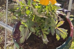 IMG_20210426_085753607