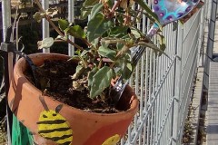 IMG_20210426_085802347_HDR