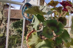 IMG_20210426_085707823
