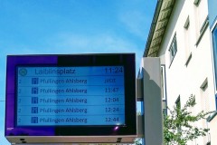 IMG_20200729_112418391_HDR