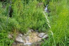 IMG_20190522_094247914