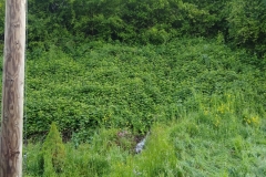 IMG_20190522_094258796