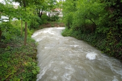 IMG_20190522_100632422