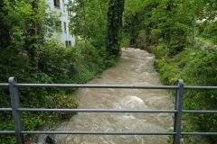 IMG_20190522_100640697