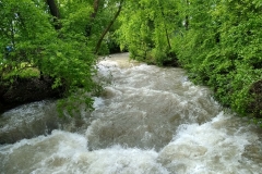 IMG_20190522_100815263_HDR