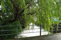 IMG_20190522_100819268