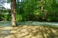 IMG_20190523_161028852_HDR