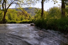 IMG_20190523_163251723_HDR