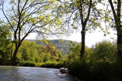 IMG_20190523_163308193