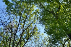 IMG_20190523_163431574_HDR