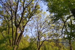 IMG_20190523_163434619_HDR