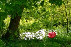 IMG_20190523_163504875_HDR