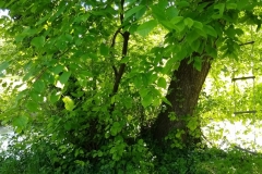 IMG_20190523_163507090