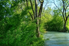IMG_20190523_163516576_HDR