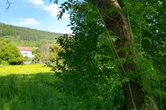 IMG_20190523_163521909_HDR