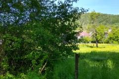 IMG_20190523_163527622_HDR