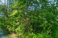 IMG_20190523_163530005_HDR