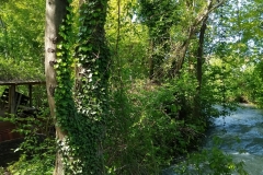 IMG_20190523_163542979