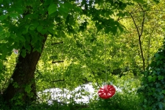 IMG_20190523_163552501_HDR