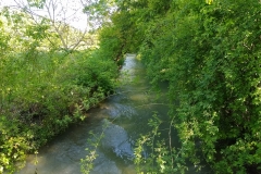 IMG_20190523_163714113