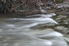 PXL_20240109_083804974.LONG_EXPOSURE-01.COVER_