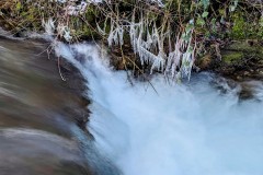 PXL_20240109_101813172.LONG_EXPOSURE-01.COVER2_